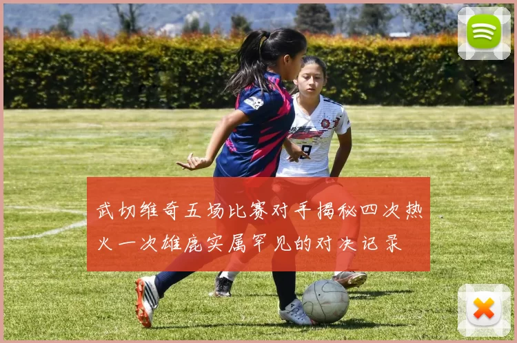 武切维奇五场比赛对手揭秘四次热火一次雄鹿实属罕见的对决记录